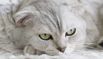 句容伴游，定制QQ：3494206190微信：act1322